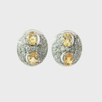Load and play video in Gallery viewer, 6.20/GM Royal Citrine Earrings - G0038