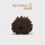 Load and play video in Gallery viewer, 13 MUKHI NEPALI RUDRAKSHA