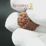 Load and play video in Gallery viewer, 9 MUKHI NEPALI RUDRAKSHA