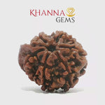 Load and play video in Gallery viewer, GANESH RUDRAKSHA