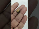 Load and play video in Gallery viewer, 4.55/CT Tiger Eye with Govt. Lab Certificate-TGR00122