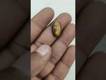 Load and play video in Gallery viewer, 7.4/CT Tiger Eye with Govt. Lab Certificate-TGR00067