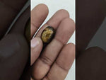 Load and play video in Gallery viewer, 14.9/CT Tiger Eye with Govt. Lab Certificate-TGR00039