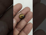 Load and play video in Gallery viewer, 5.5/CT Tiger Eye with Govt. Lab Certificate-TGR00124