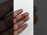 Load and play video in Gallery viewer, 6.31/CT Natural Red Coral With Govt. Lab Certificate-12377D50200