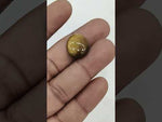 Load and play video in Gallery viewer, 9.8/CT Tiger Eye with Govt. Lab Certificate-TGR00076