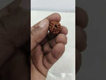 Load and play video in Gallery viewer, 3.290 Gram Natural Three Mukhi Rudraksha with Govt. Lab Certificate-KG615118