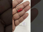 Load and play video in Gallery viewer, 5.75/CT Natural Red Coral With Govt. Lab Certificate-10833D43744