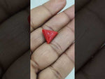 Load and play video in Gallery viewer, 6.36/CT Natural Red Coral With Govt. Lab Certificate-11006D44450