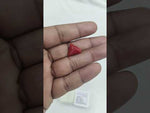 Load and play video in Gallery viewer, 7.59/CT Natural Red Coral With Govt. Lab Certificate-10952D44236