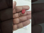Load and play video in Gallery viewer, 7.87/CT Natural Red Coral With Govt. Lab Certificate-10952D44238