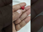 Load and play video in Gallery viewer, 5.6/CT Natural Red Coral With Govt. Lab Certificate-11006D44456