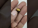 Load and play video in Gallery viewer, 5.45/CT Tiger Eye with Govt. Lab Certificate-TGR00032