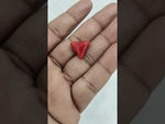 Load and play video in Gallery viewer, 9.37/CT Natural Red Coral With Govt. Lab Certificate-11006D44453