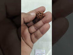 Load and play video in Gallery viewer, 3.260 Gram Natural Three Mukhi Rudraksha with Govt. Lab Certificate-KG615113
