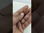 Load and play video in Gallery viewer, 3.040 Gram Natural Three Mukhi Rudraksha with Govt. Lab Certificate-KG615110