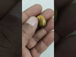 Load and play video in Gallery viewer, 14.65/CT Tiger Eye with Govt. Lab Certificate-TGR00010