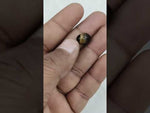 Load and play video in Gallery viewer, 5.95/CT Tiger Eye with Govt. Lab Certificate-TGR00121