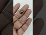 Load and play video in Gallery viewer, 5.3/CT Tiger Eye with Govt. Lab Certificate-TGR00020