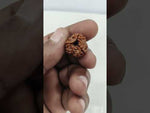 Load and play video in Gallery viewer, 2.580 Gram Natural Three Mukhi Rudraksha with Govt. Lab Certificate-KG615116