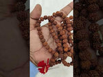 Load and play video in Gallery viewer, FIVE MUKHI RUDRAKSHA MALA - KG01