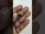 Load and play video in Gallery viewer, 12.4/CT Tiger Eye with Govt. Lab Certificate-TGR00047