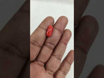 Load and play video in Gallery viewer, 6.59/CT Natural Red Coral With Govt. Lab Certificate-12377D50203