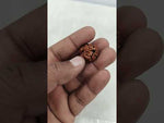 Load and play video in Gallery viewer, 2.960 Gram Natural Three Mukhi Rudraksha with Govt. Lab Certificate-KG615117