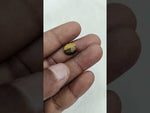 Load and play video in Gallery viewer, 6.75/CT Tiger Eye with Govt. Lab Certificate-TGR00104