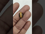 Load and play video in Gallery viewer, 4.85/CT Tiger Eye with Govt. Lab Certificate-TGR00028