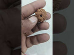 Load and play video in Gallery viewer, 4.000 Gram Natural 14 Mukhi Rudraksha with Govt. Lab Certificate-KG61512