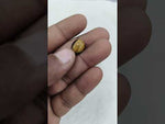 Load and play video in Gallery viewer, 5.55/CT Tiger Eye with Govt. Lab Certificate-TGR00130