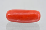 Load image into Gallery viewer, 6.34/Carat Natural Cylindrical Red Coral (1200)
