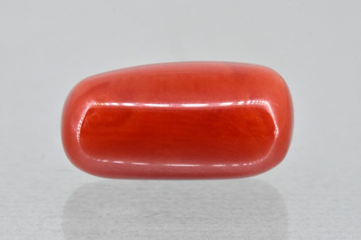 6.08/Carat Natural Cylindrical Red Coral (1200)