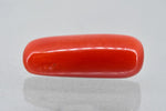 Load image into Gallery viewer, 6.63/Carat Natural Cylindrical Red Coral (1500)
