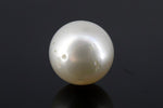 Load image into Gallery viewer, 7.94/CT South Sea Pearl with Govt. Lab Certificate-1550

