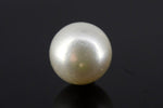 Load image into Gallery viewer, 7.94/CT South Sea Pearl with Govt. Lab Certificate-1550
