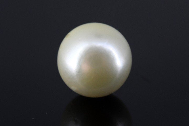 8.29/CT South Sea Pearl with Govt. Lab Certificate-1550