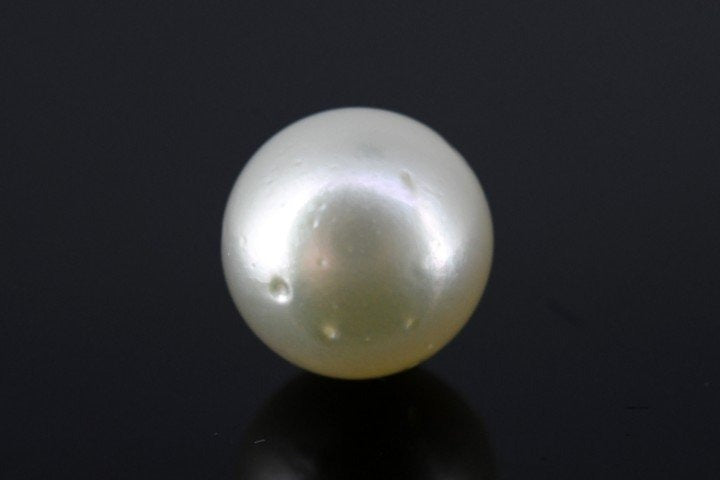 9.07/CT South Sea Pearl with Govt. Lab Certificate-1550
