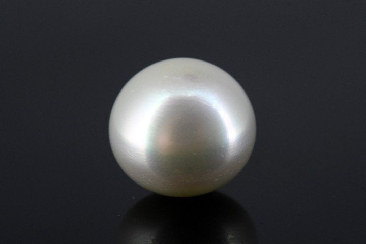 16.33/CT South Sea Pearl with Govt. Lab Certificate-1550