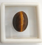 Load image into Gallery viewer, 8.95/CT NATURAL TIGER CAT&#39;S EYE-(450)

